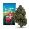 Buy Slurricane CBD Online