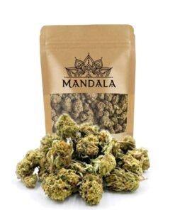 Buy Small Buds Greenhouse Online