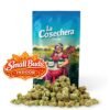 Buy Small Buds Indoor Online