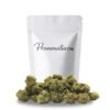 Buy Sour Diesel Online