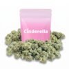 Buy Sugar Baby Small Buds Cinderella