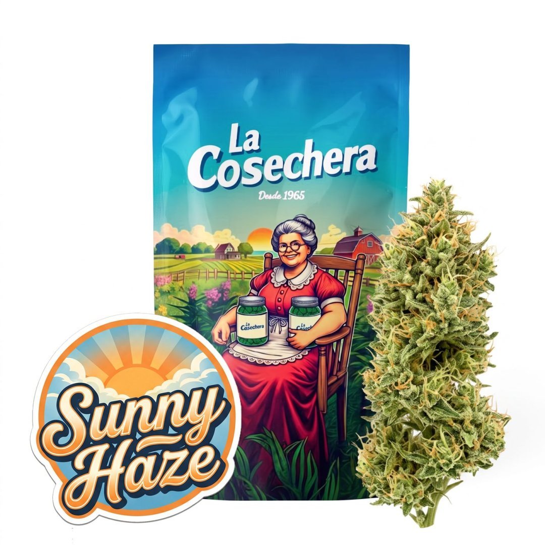 Buy Sunny Haze CBD Online
