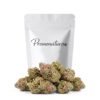 Buy Sunset Sherbet CBD Online