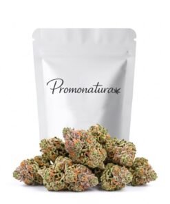 Buy Sunset Sherbet CBD Online