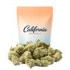 Buy Tropical Sunshine Small Buds Online