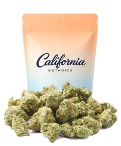Buy Tropical Sunshine Small Buds Online
