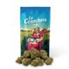 Buy Tropicana Cookies CBD Online