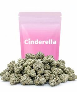 Buy White Party Small Buds Cinderella Online
