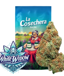 Buy White Widow Online