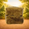 Beldia CBG Resin